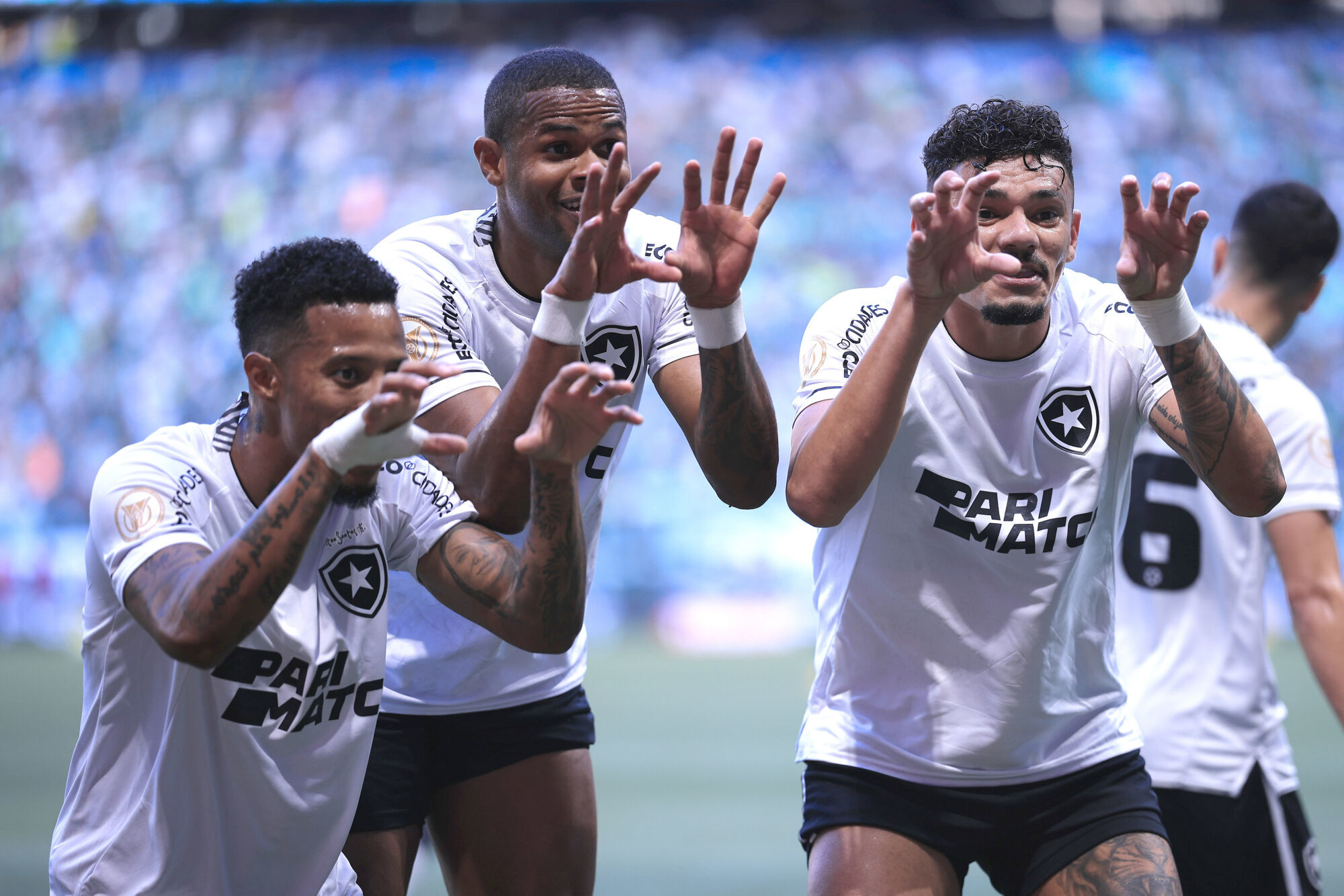 Até quando o Botafogo será considerado apenas uma 'surpresa' na ponta da tabela?