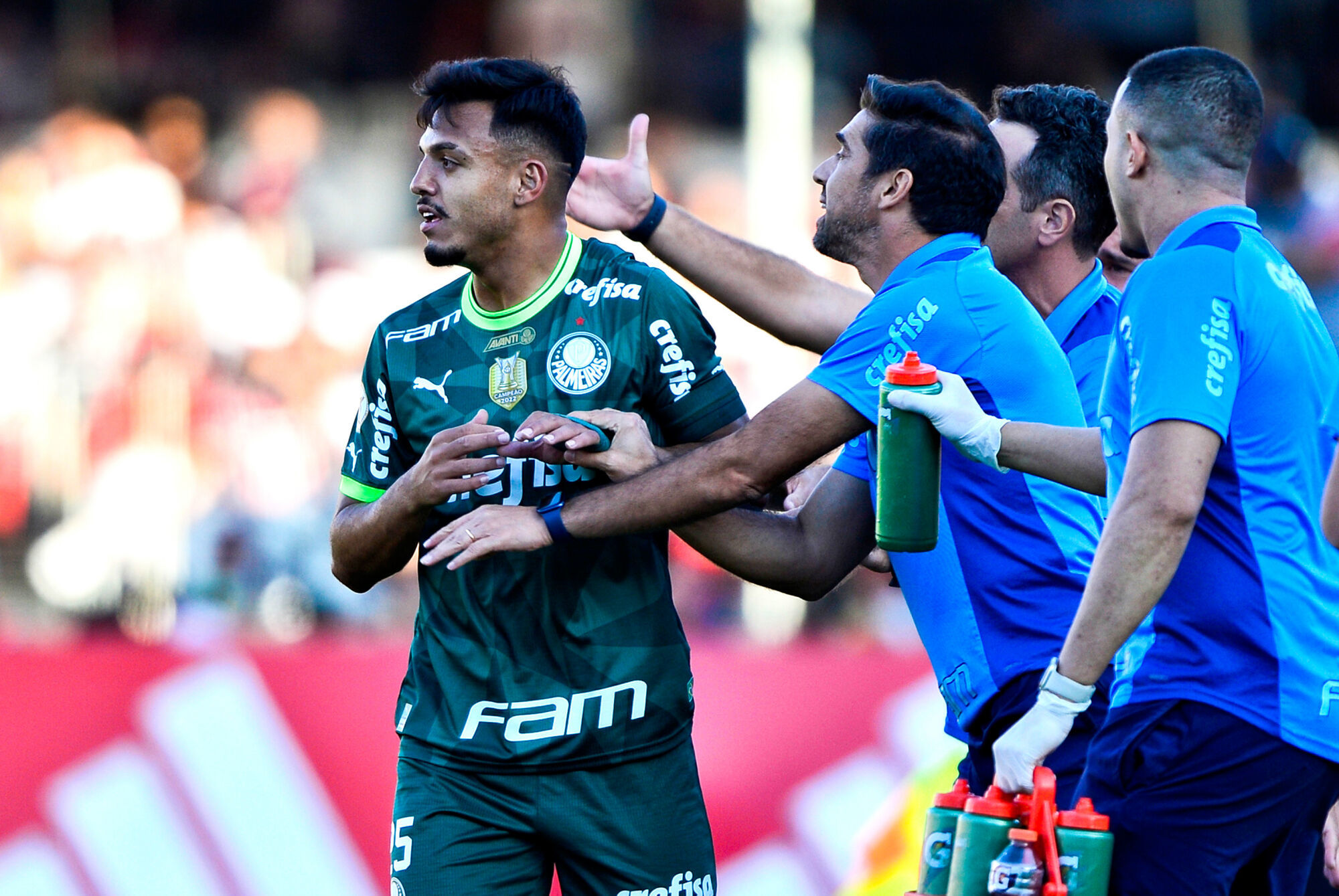 fute11.com.br fute11.com.br