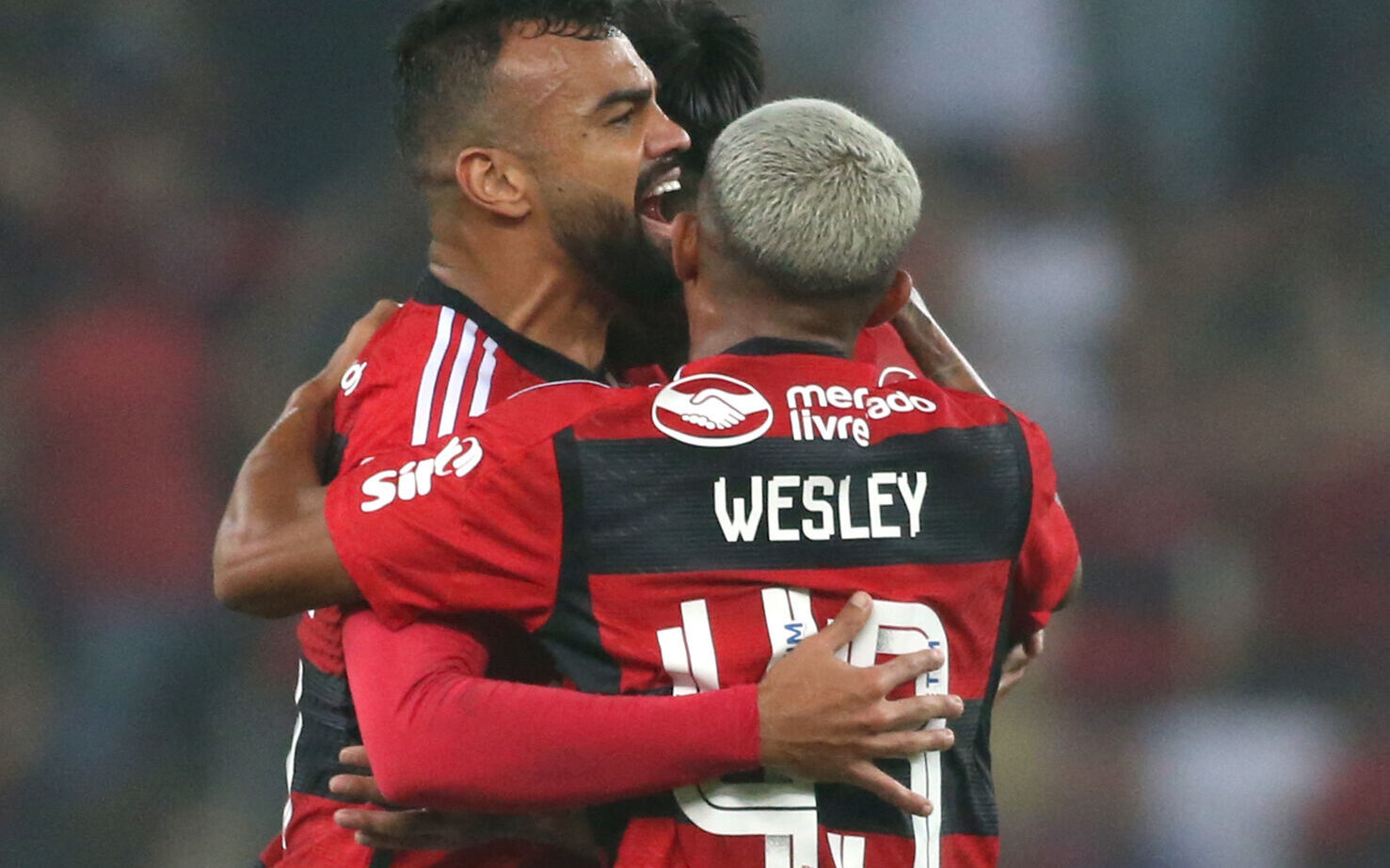 fute11.com.br fute11.com.br