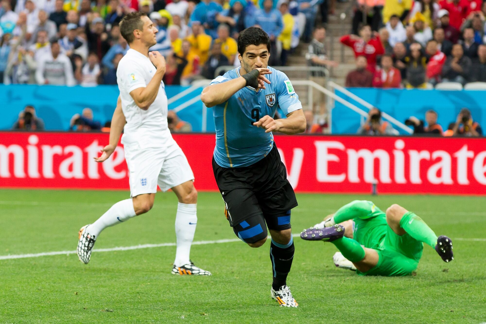 fute11.com.br fute11.com.br