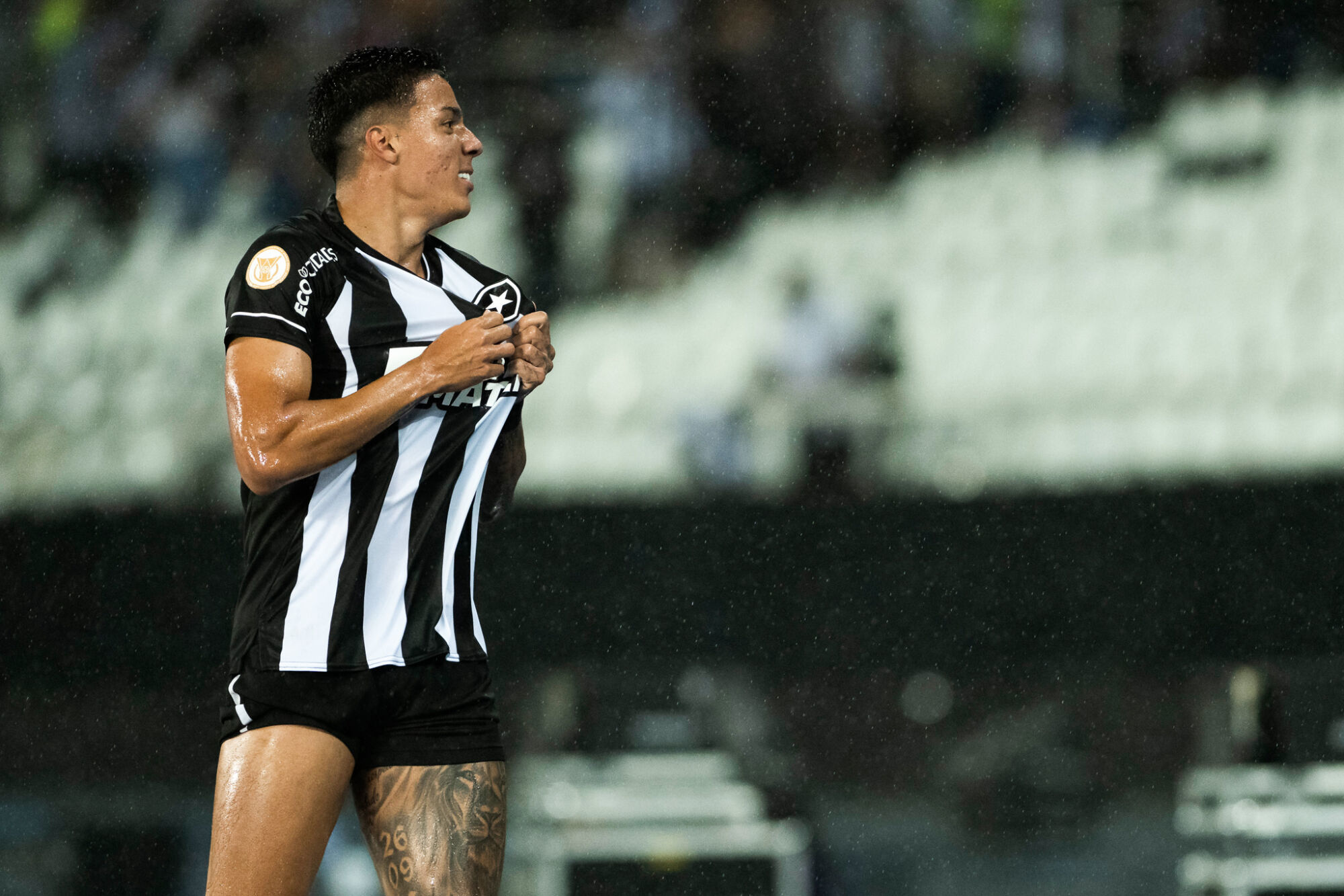 Botafogo mostra que é maior que qualquer nome