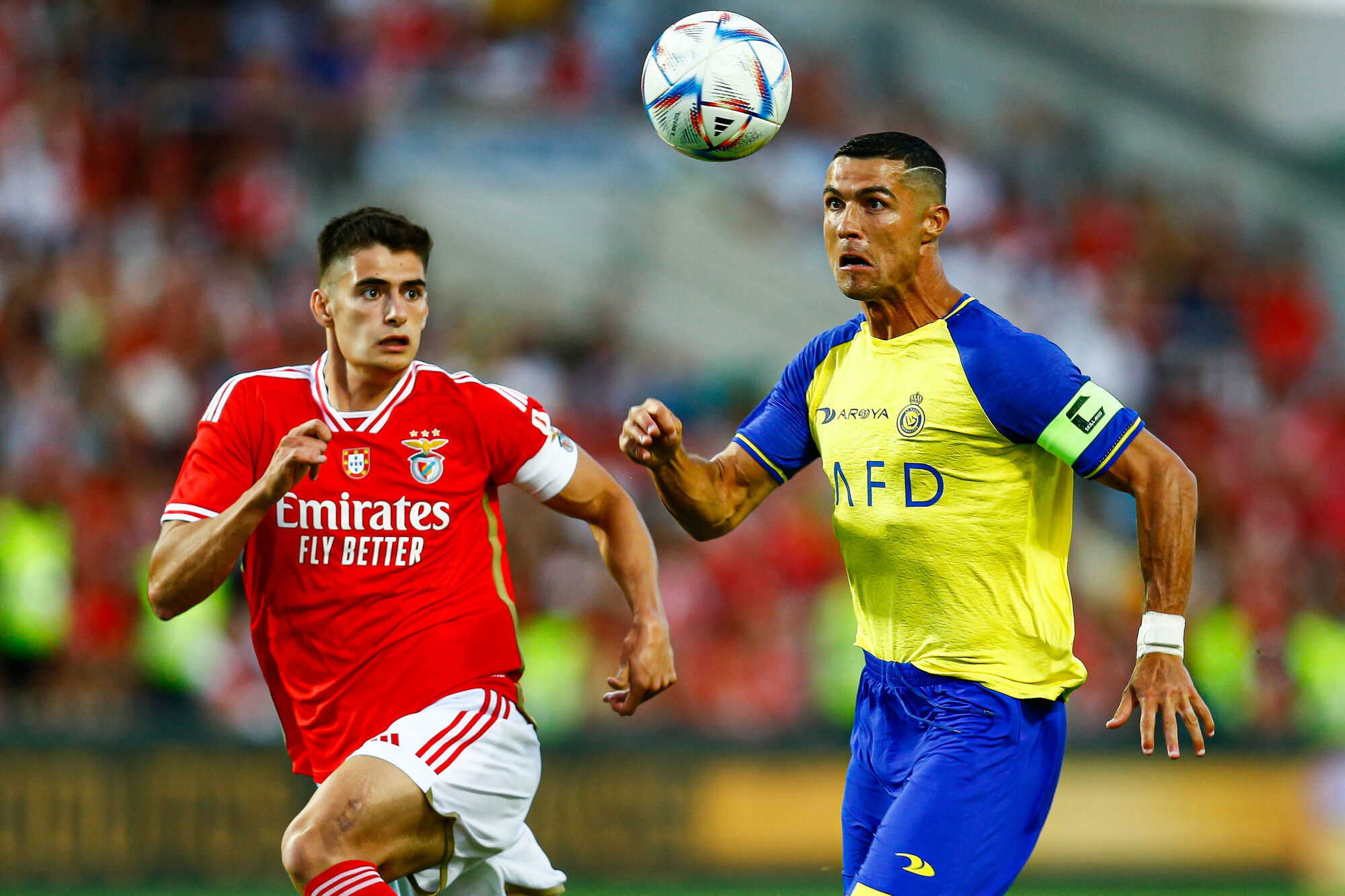 fute11.com.br fute11.com.br