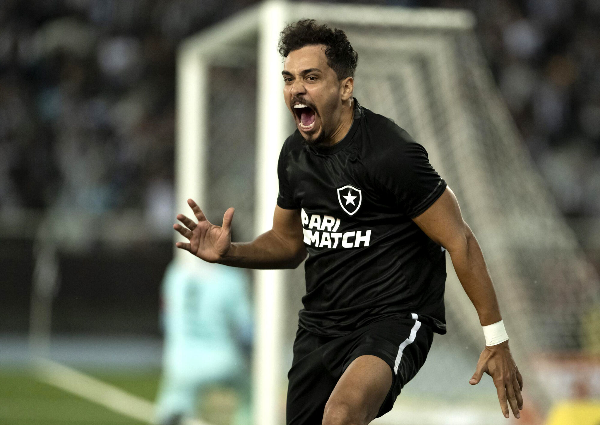 Quem vai parar o Botafogo?