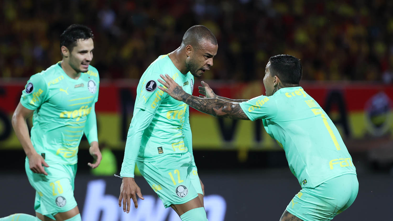 fute11.com.br fute11.com.br