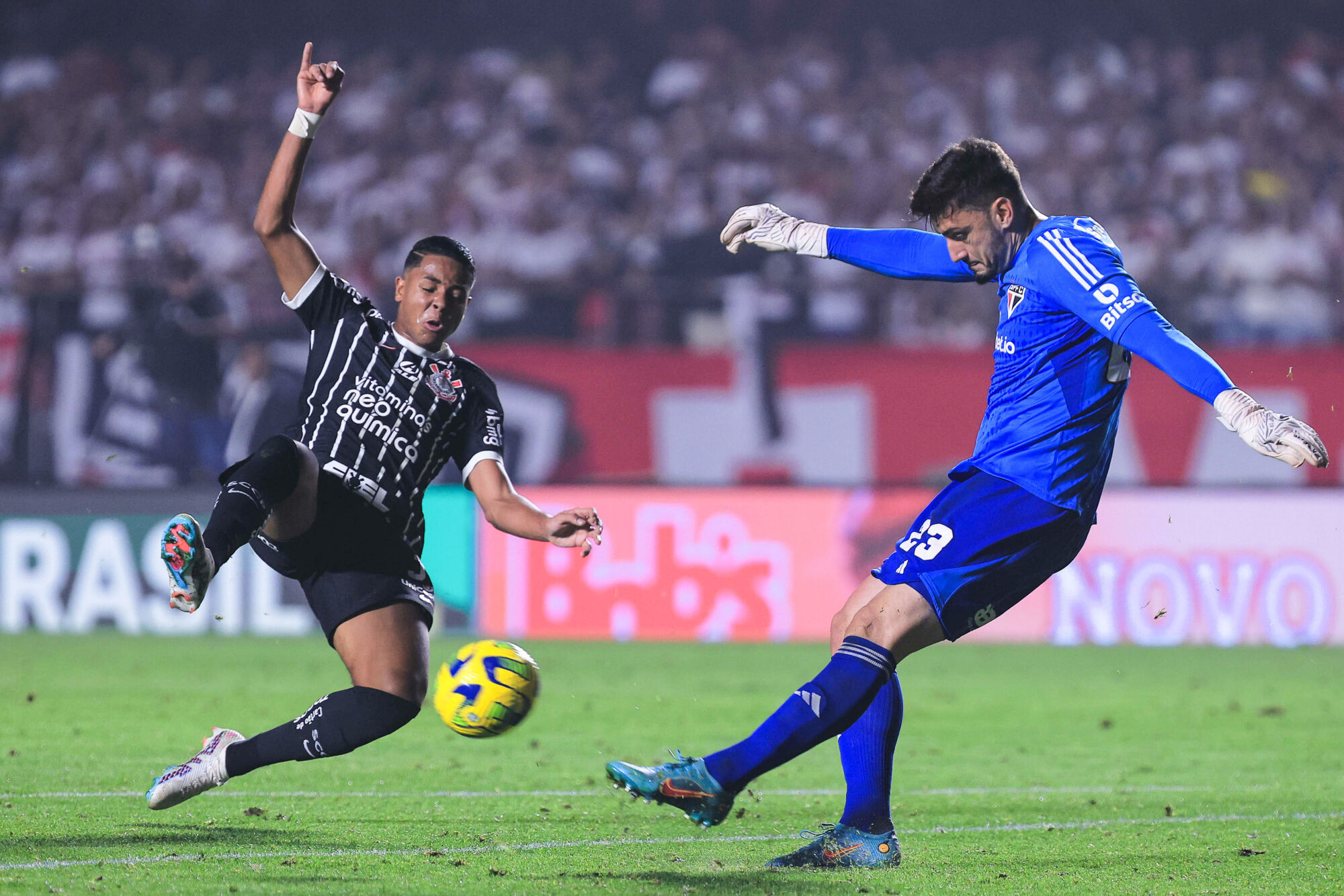 fute11.com.br fute11.com.br