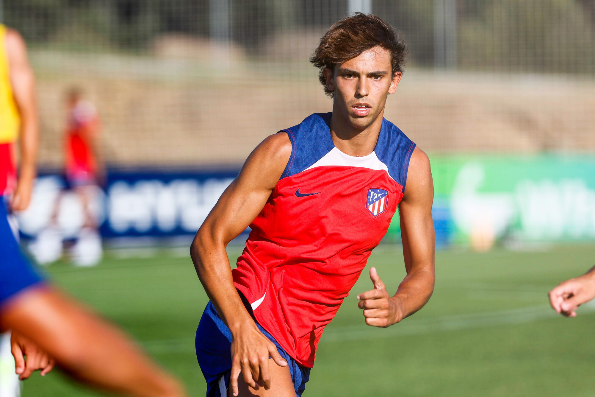 Mercado: João Félix cada vez mais perto do Barcelona