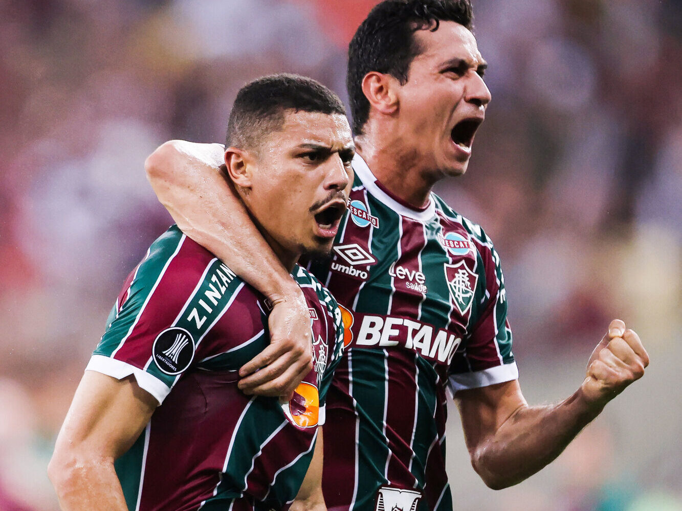 fute11.com.br fute11.com.br