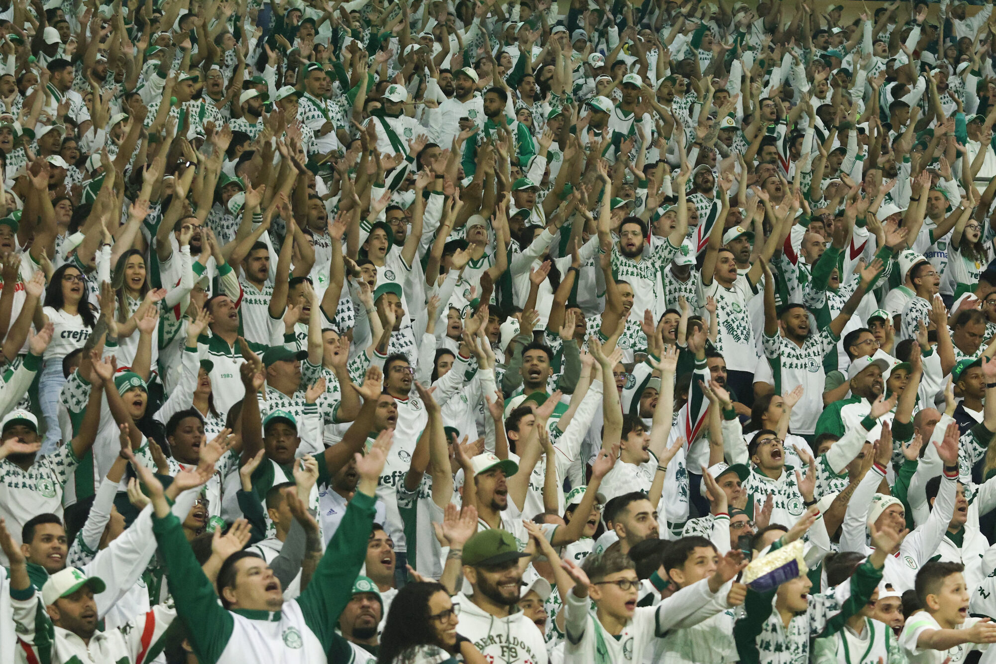 Palmeiras vence votação de melhor canto de torcida do mundo