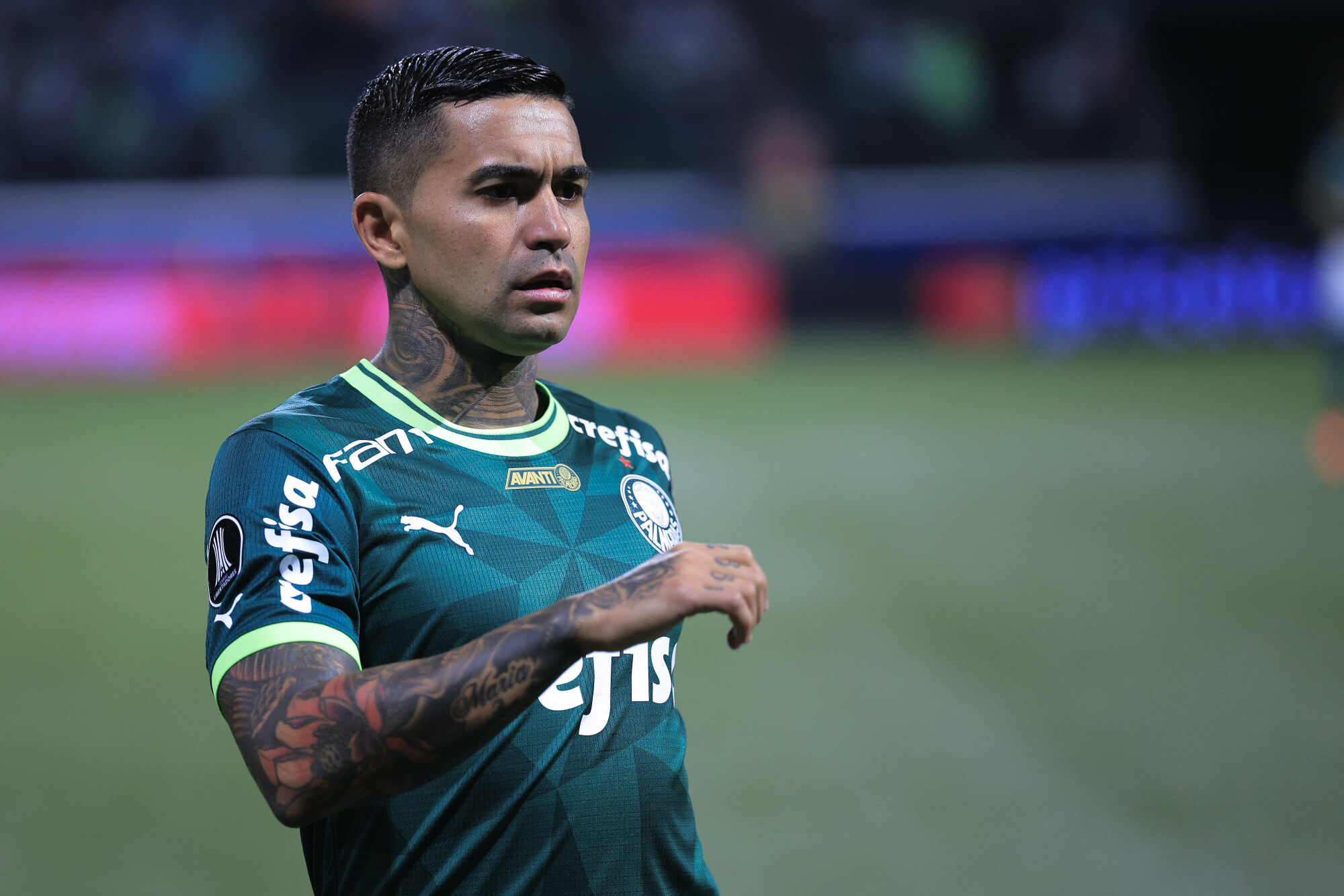 Descubra quando Dudu deve voltar a jogar pelo Palmeiras