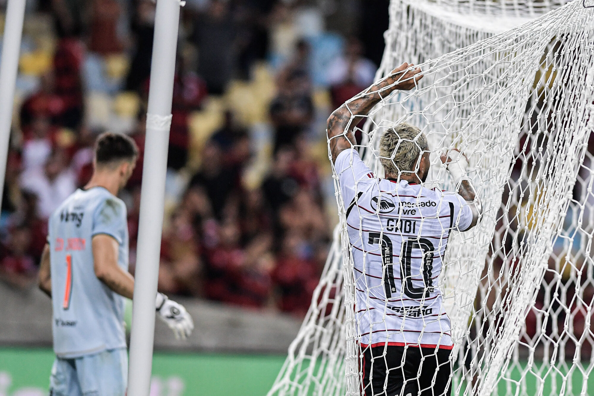 fute11.com.br fute11.com.br