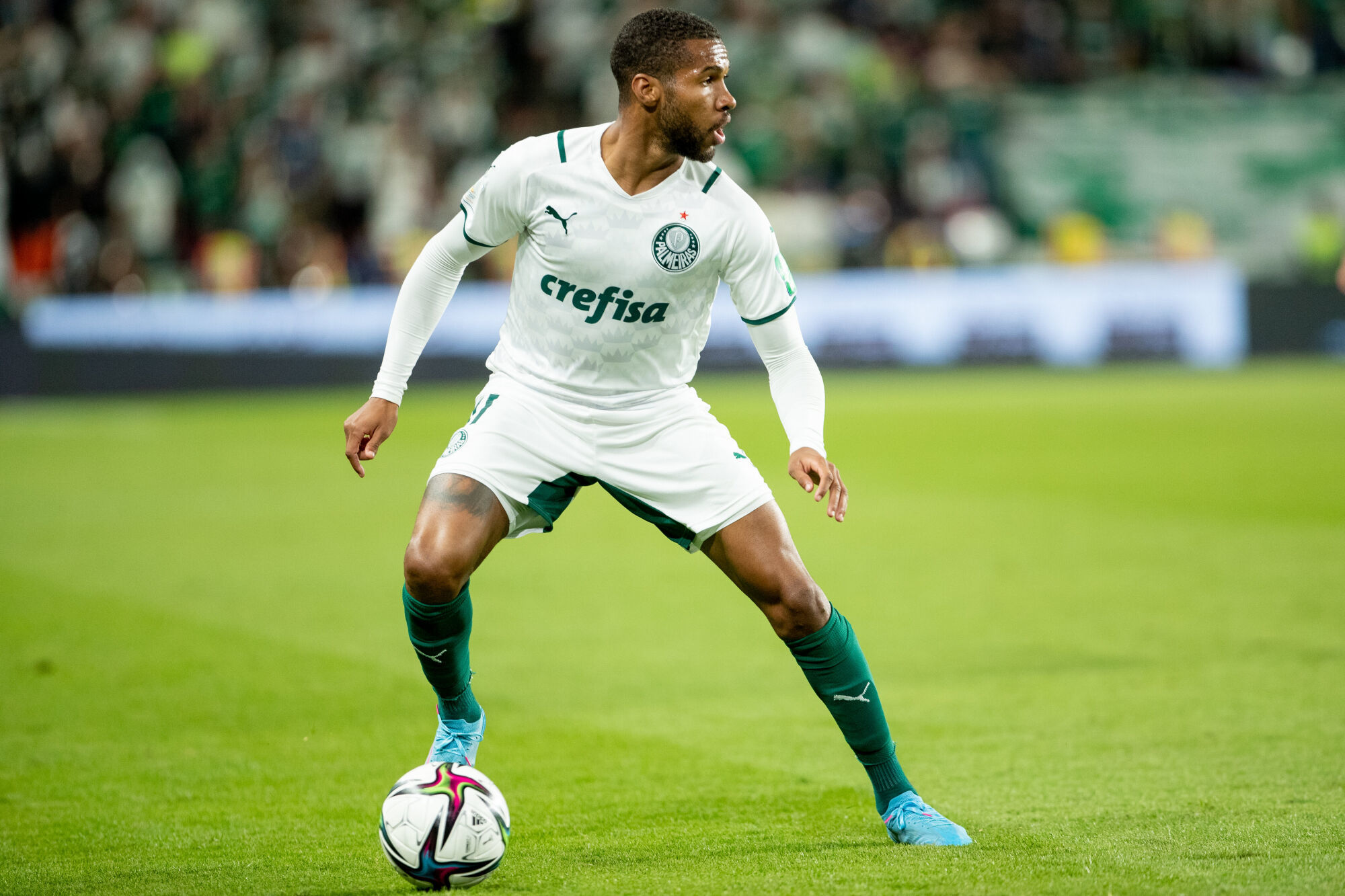 fute11.com.br fute11.com.br