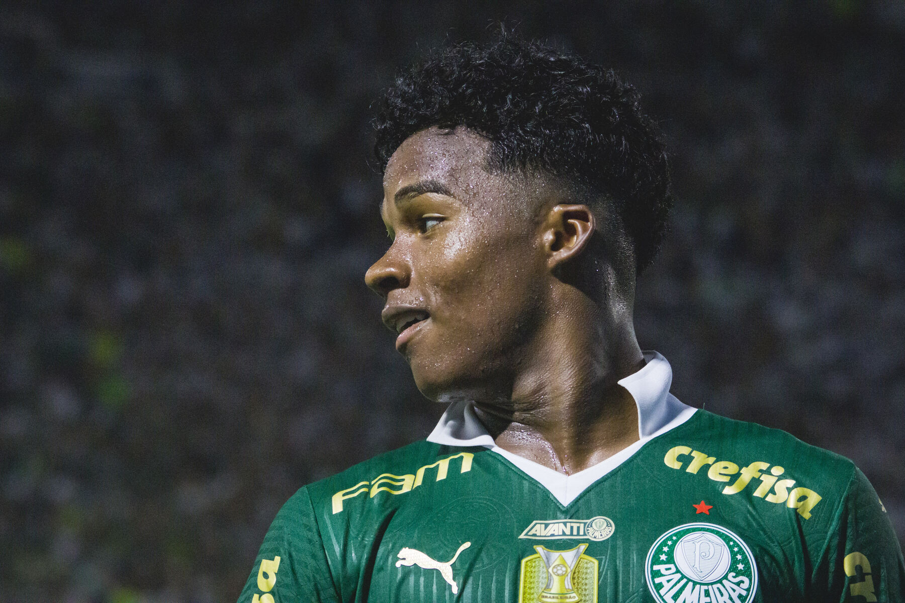 fute11.com.br fute11.com.br