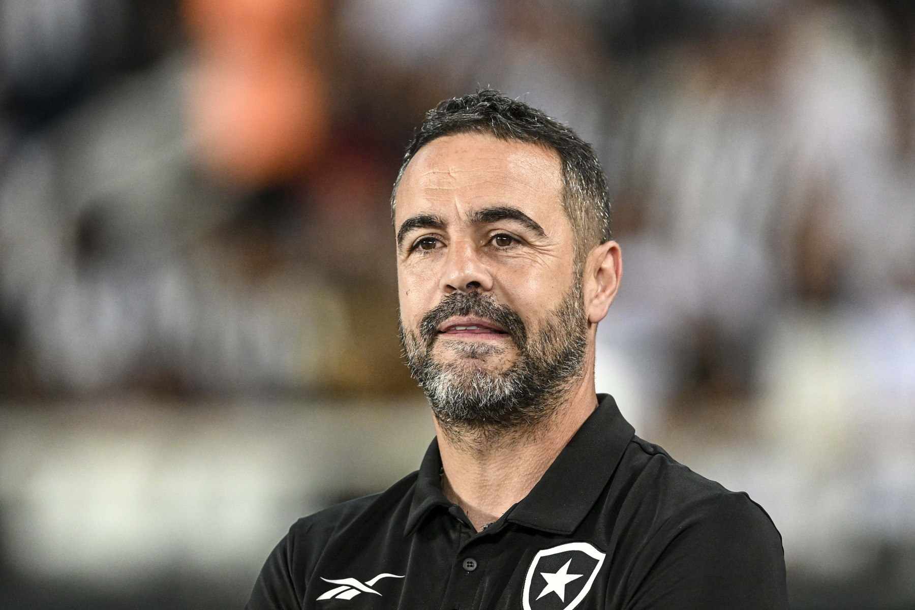Botafogo vira o favorito ao título brasileiro com 76% de chances, enquanto Palmeiras tem 23%