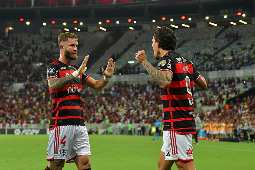 fute11.com.br fute11.com.br