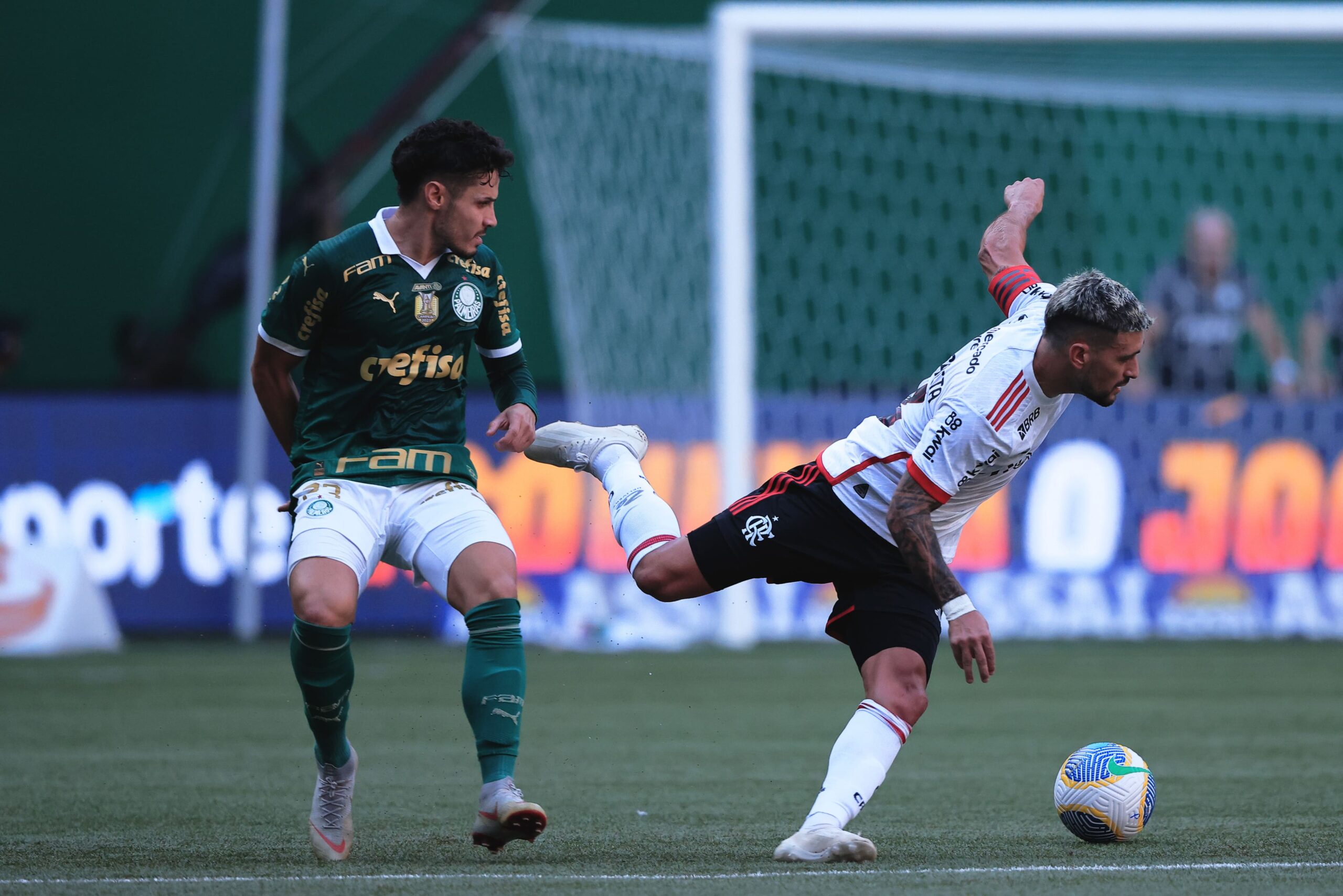 fute11.com.br fute11.com.br