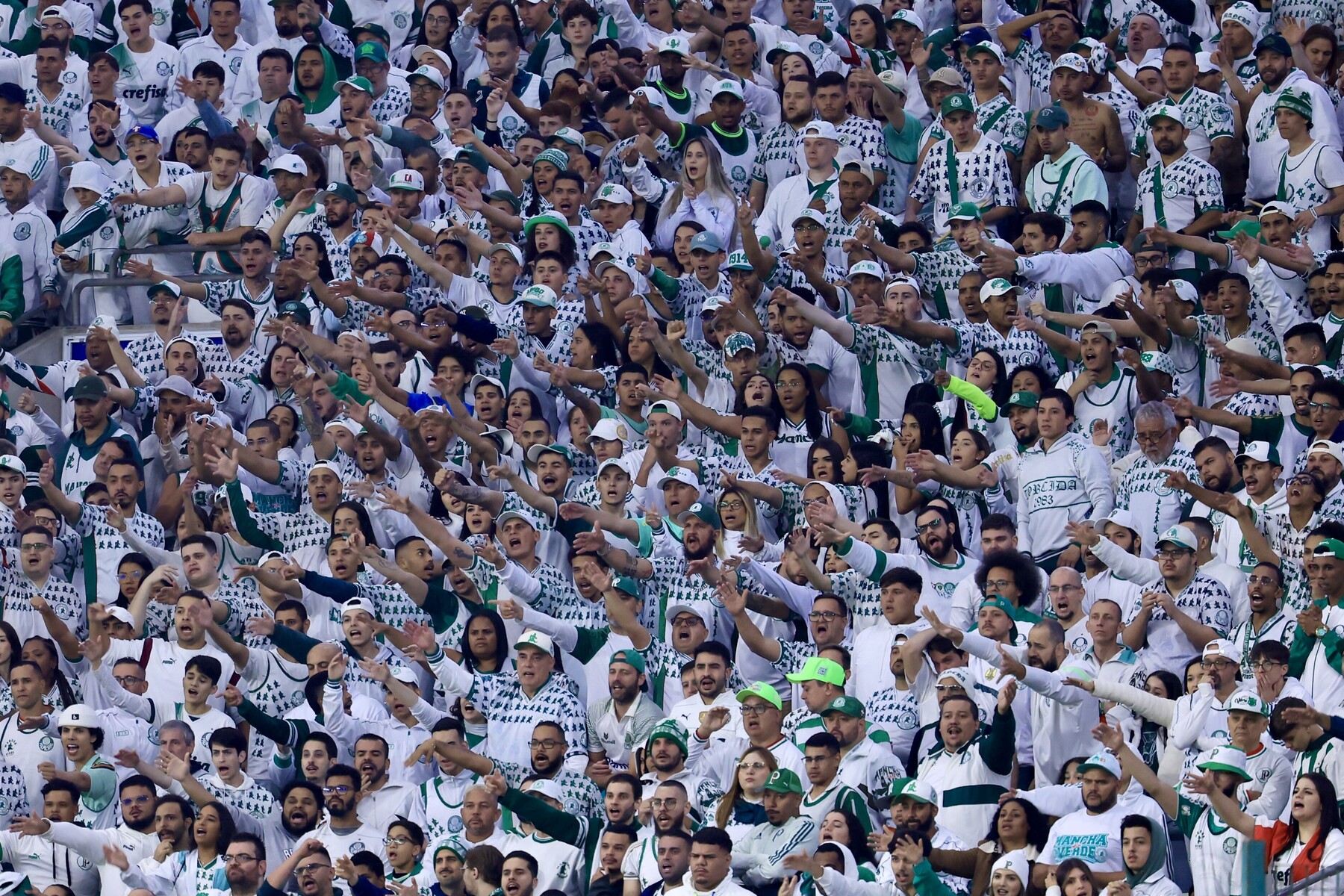 fute11.com.br fute11.com.br