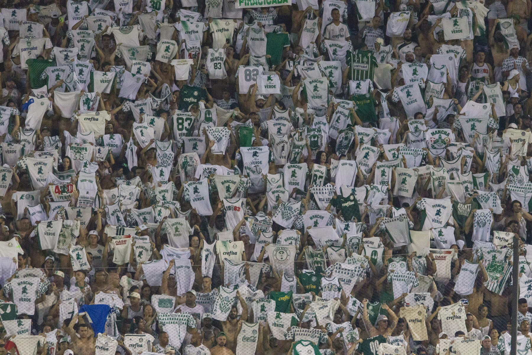 Torcida organizada do Palmeiras é proibida de frequentar estádios em SP; entenda