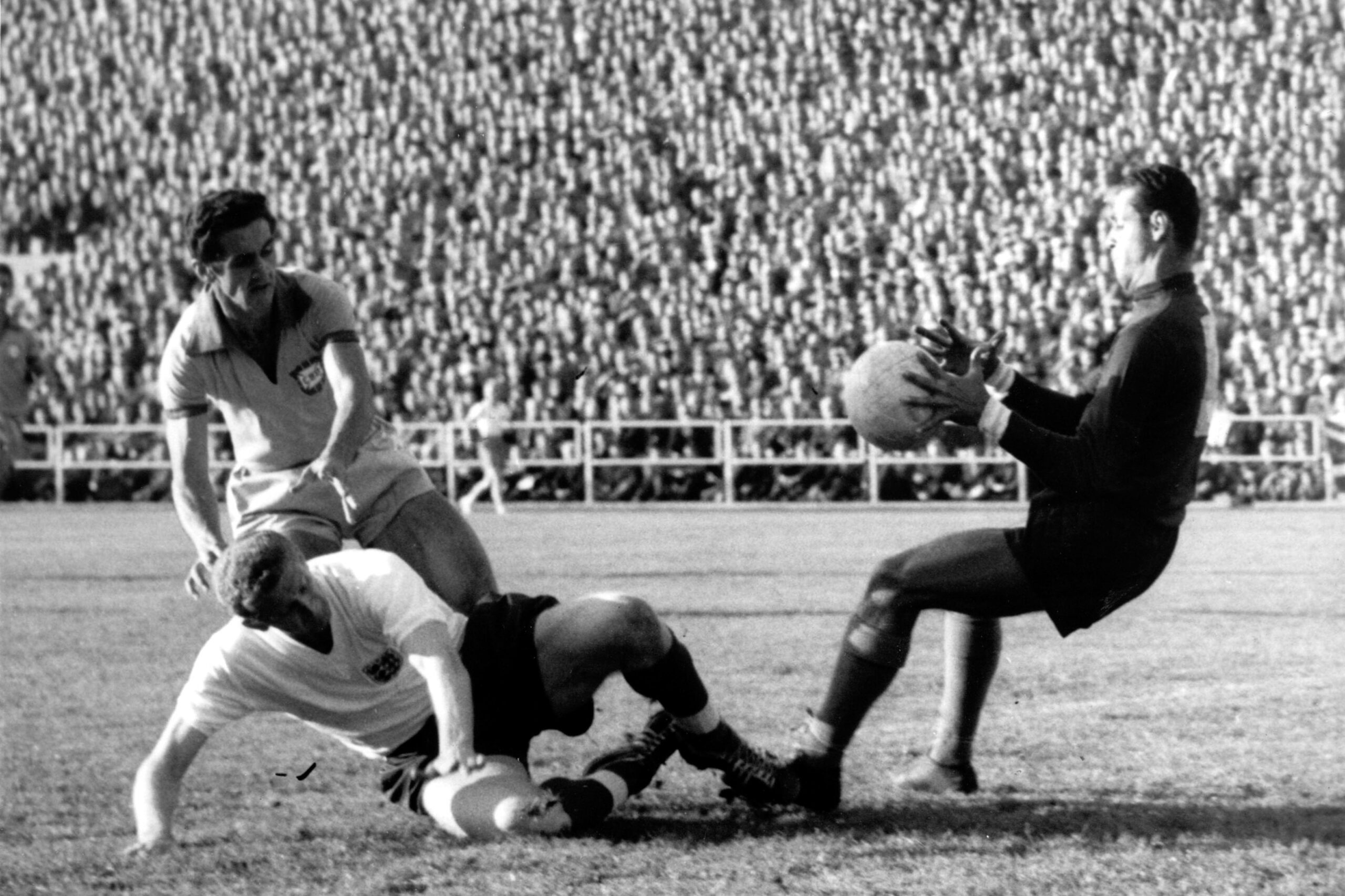 fute11.com.br fute11.com.br