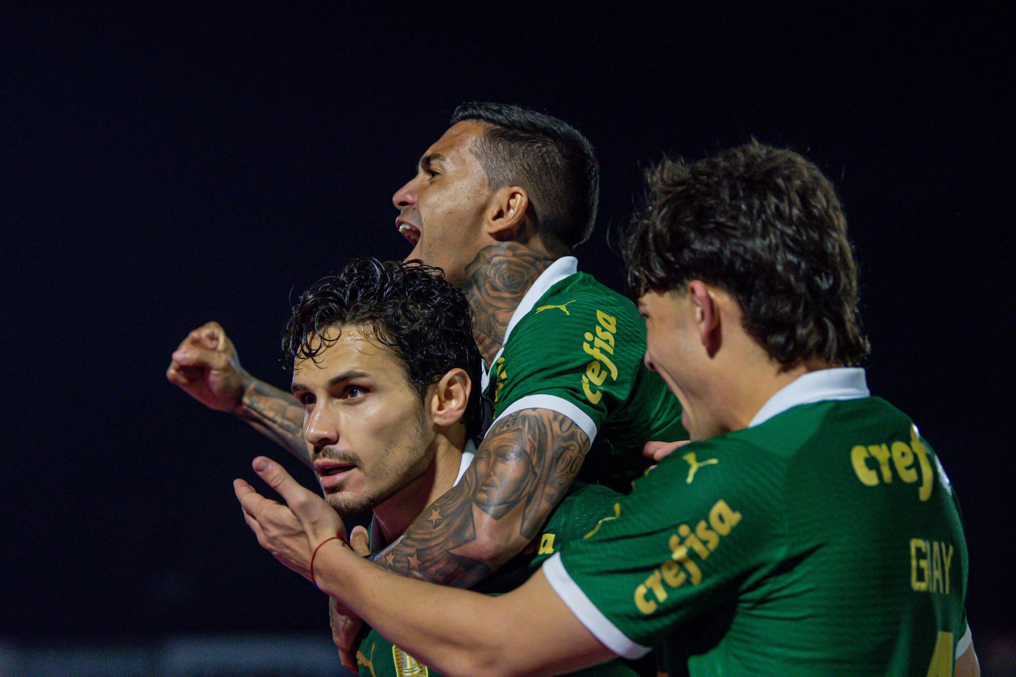 Mesmo em segundo, Palmeiras ultrapassa o Botafogo em chances de título; veja as porcentagens