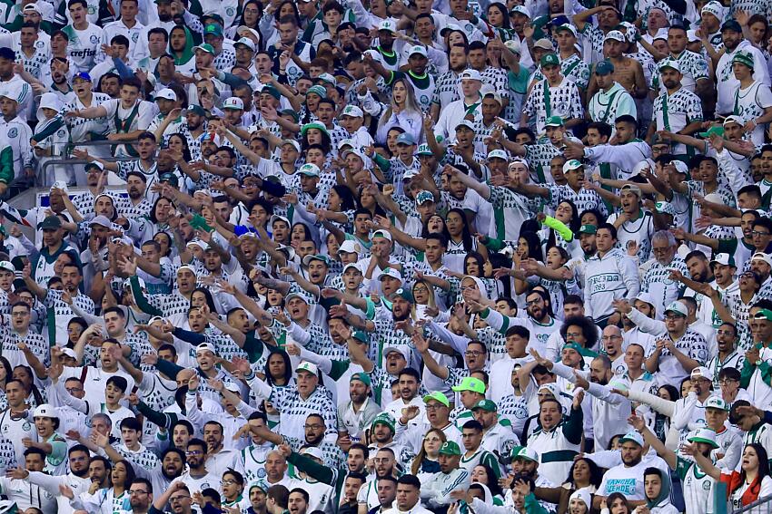 fute11.com.br fute11.com.br